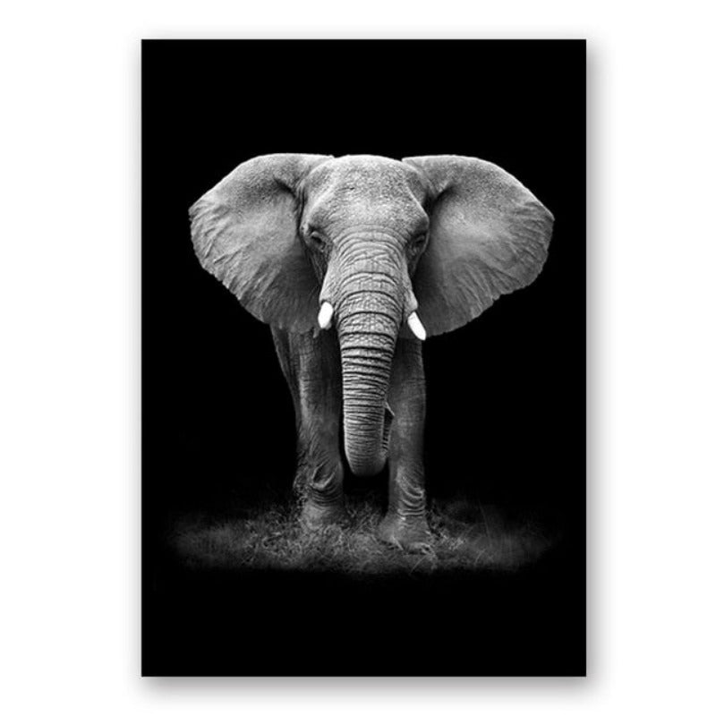 Vivolux | Natur Wildtiere Afrika Wildtiere Schwarz Weiß - Leinwand Wandkunst Malerei