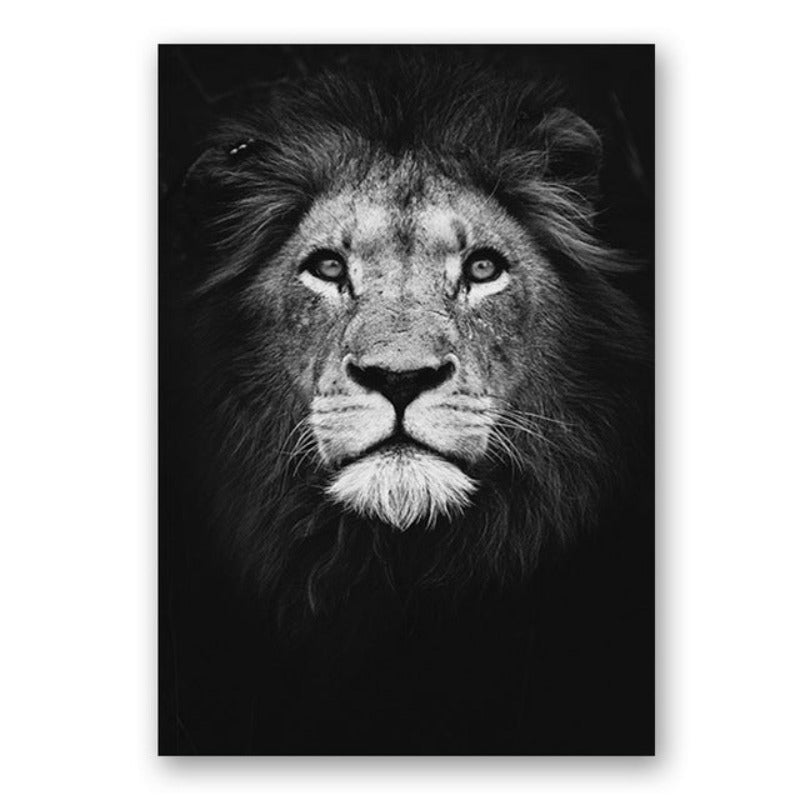 Vivolux | Natur Wildtiere Afrika Wildtiere Schwarz Weiß - Leinwand Wandkunst Malerei