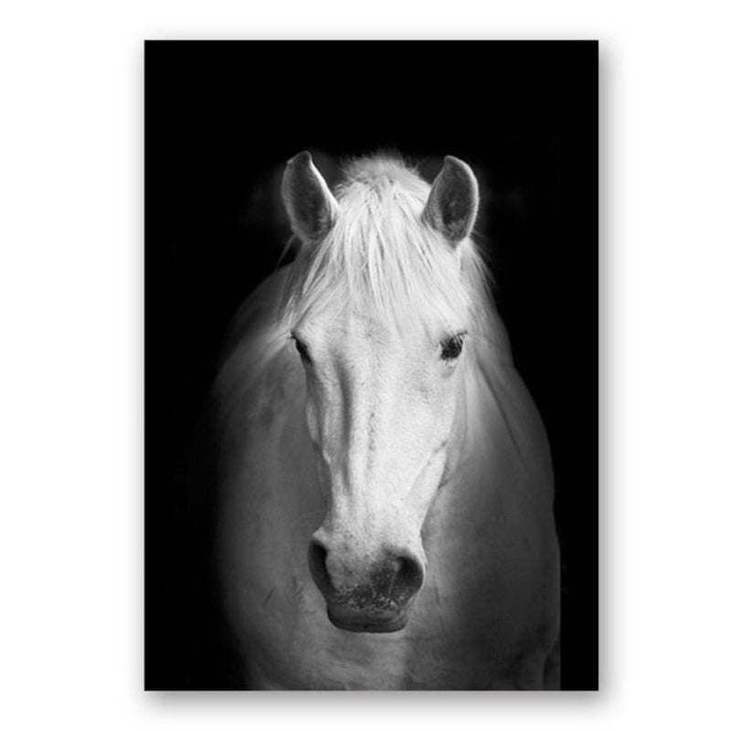 Vivolux | Natur Wildtiere Afrika Wildtiere Schwarz Weiß - Leinwand Wandkunst Malerei