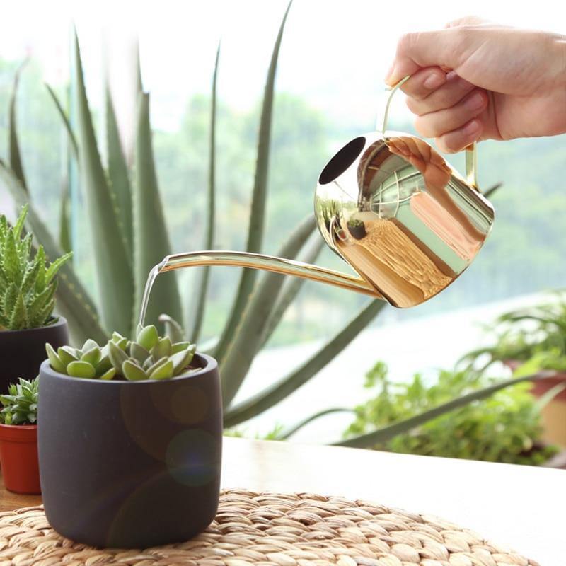 Vivolux | AquaGrace Edelstahl Gießkanne mit Flexiblem Hals | Modernes Design | Perfekte Bewässerung | Rostfrei