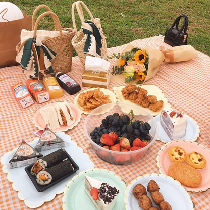 Vivolux | Clementine Gingham Picknickdecke