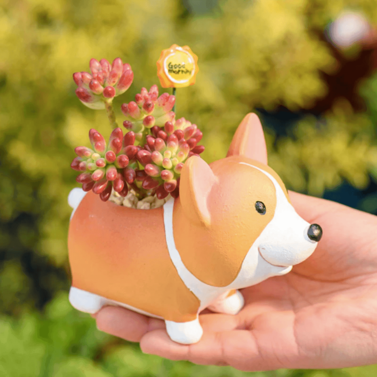 Vivolux | Resin Corgi Mini Blumentopf
