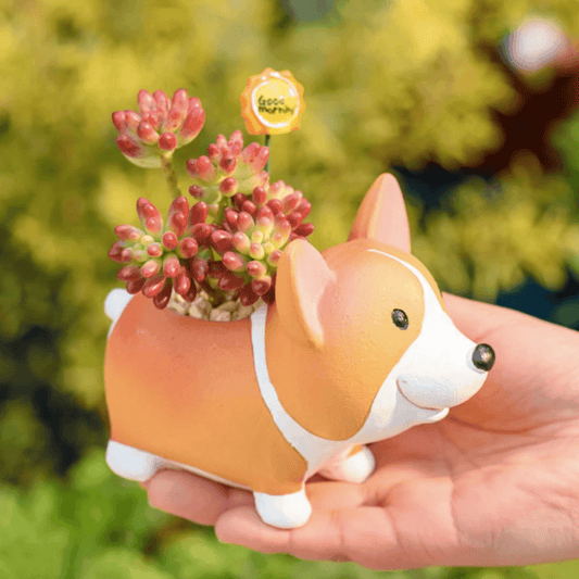 Vivolux | Resin Corgi Mini Blumentopf