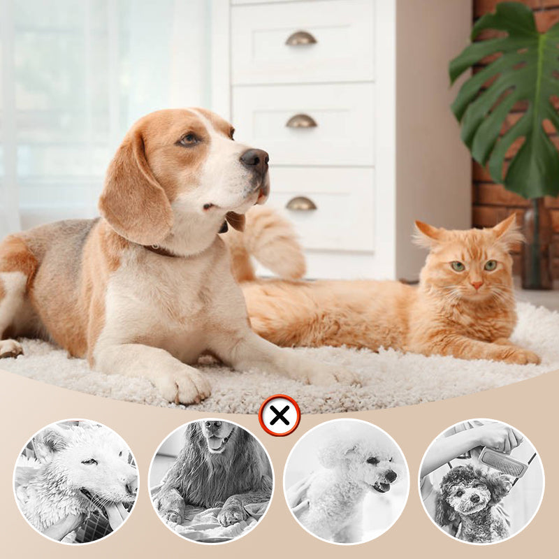 Niedriggeräusch-Haustier-Föhn mit Slicker-Bürste