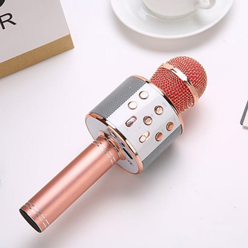 Vivolux | Sing Anywhere: Das ultimative kabellose Karaoke-Mikrofon!