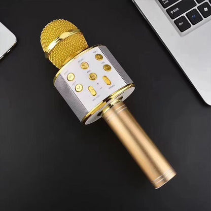 Vivolux | Sing Anywhere: Das ultimative kabellose Karaoke-Mikrofon!