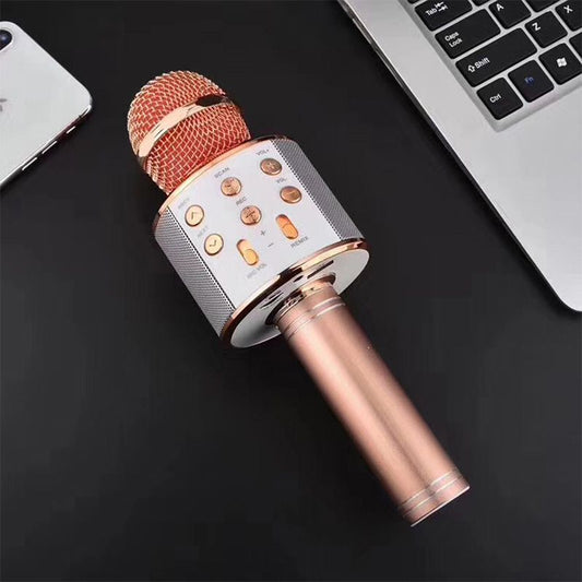 Vivolux | Sing Anywhere: Das ultimative kabellose Karaoke-Mikrofon!