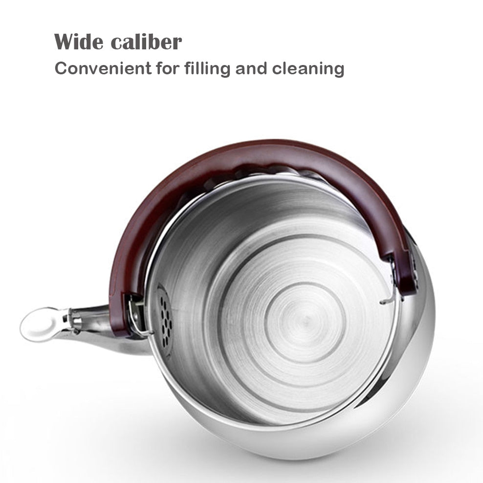 Vivolux | Edelstahl Wasserkocher Dickwandiger Pfeiftopf