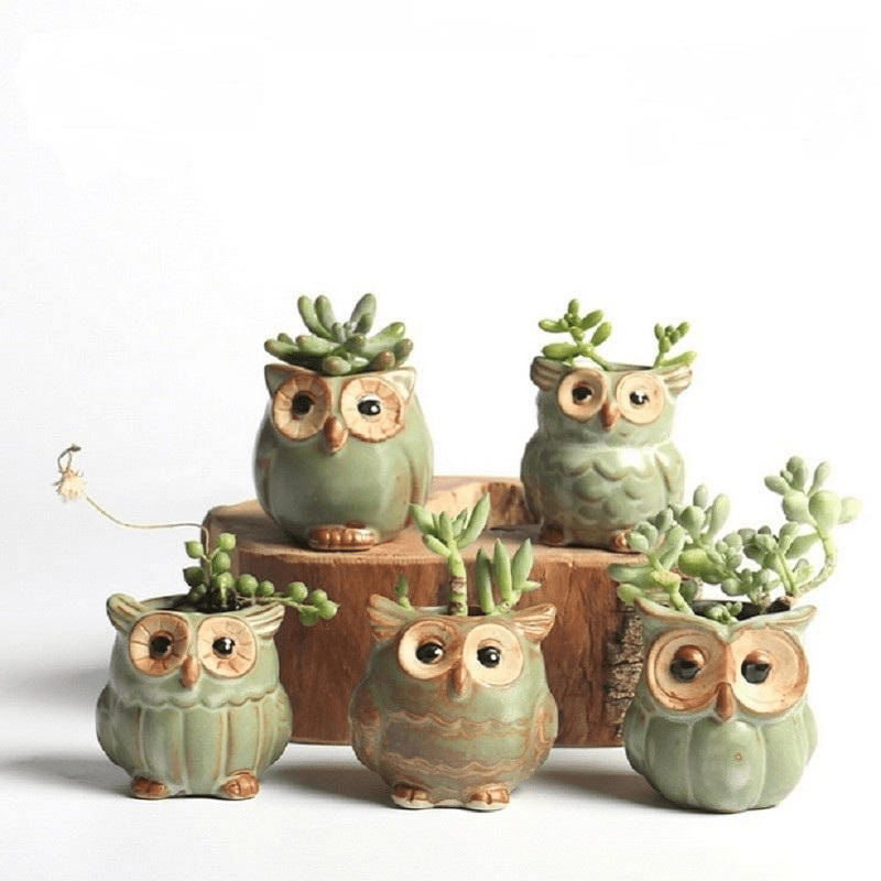 Vivolux | Eulen Keramischer Blumentopf Set 5-teilig