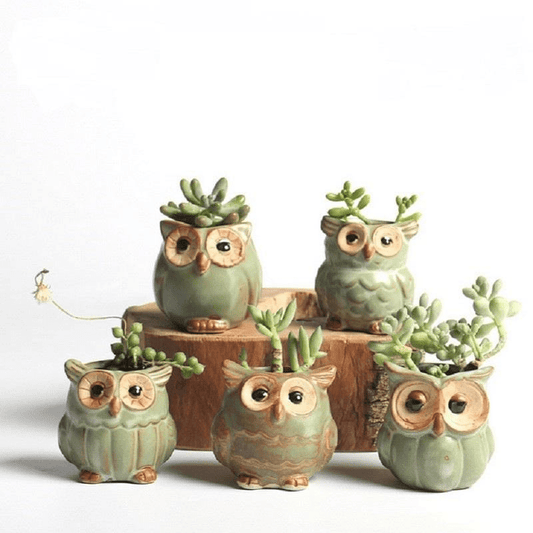 Vivolux | Eulen Keramischer Blumentopf Set 5-teilig