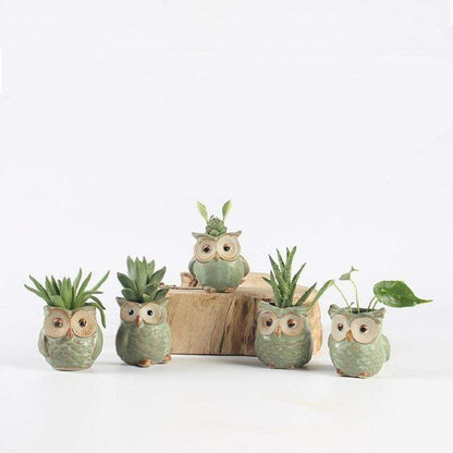 Vivolux | Eulen Keramischer Blumentopf Set 5-teilig