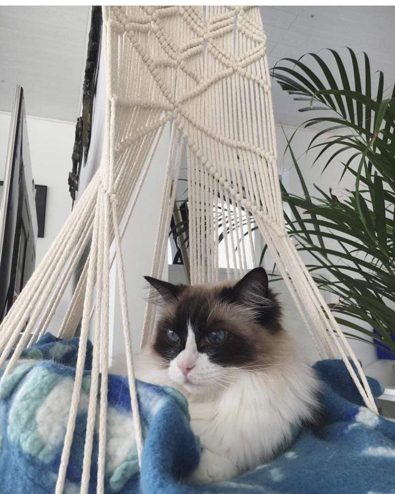 Vivolux | Makramee Wandhängendes Katzenbett